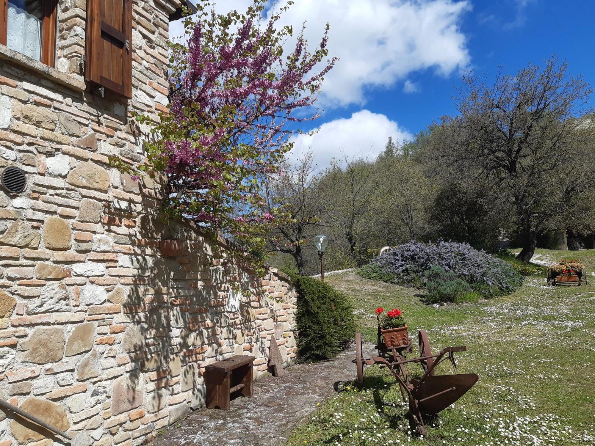 Il Biroccio Casa di campagna *
